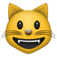 :smiley_cat: :smiley_cat:
